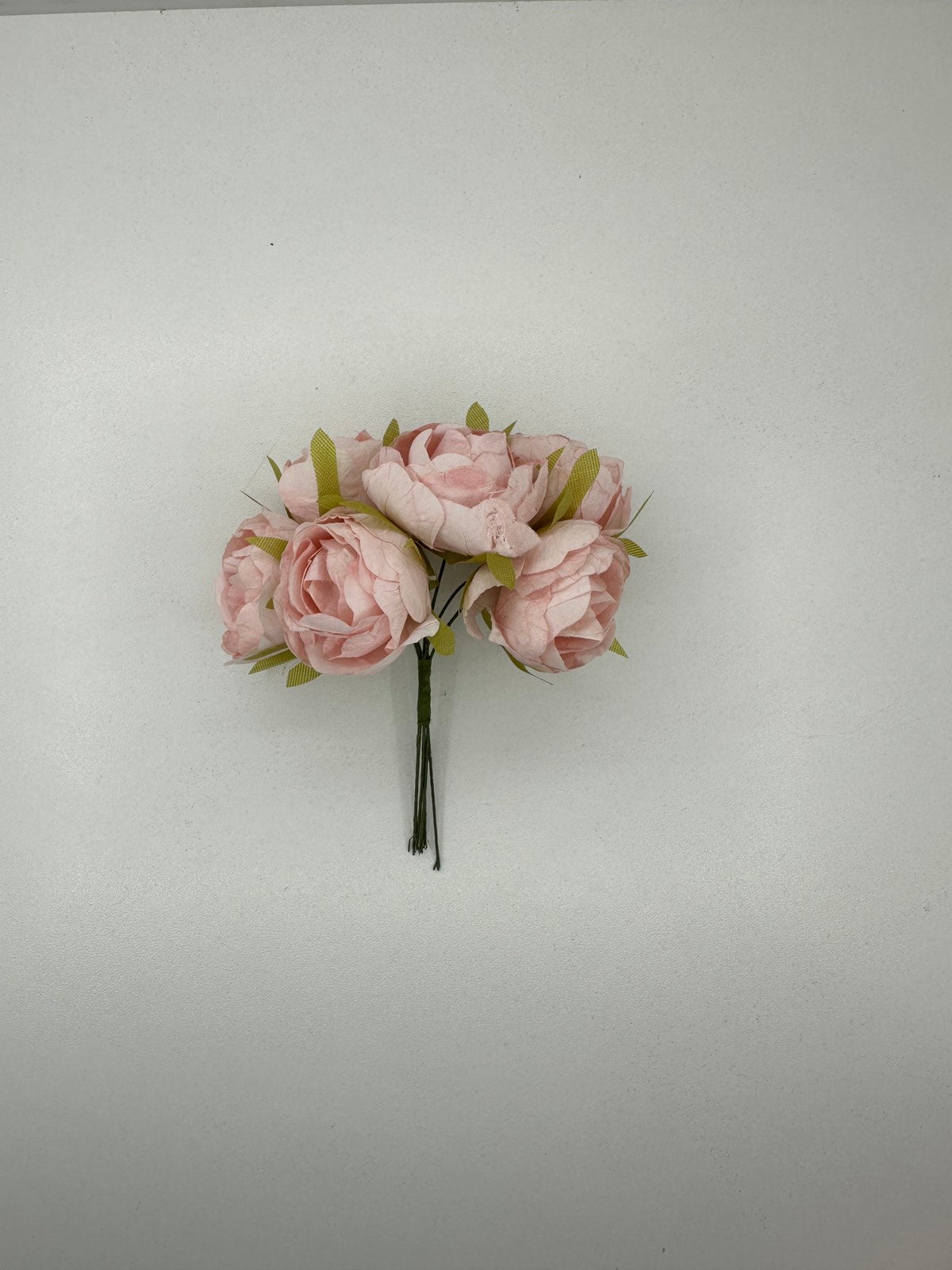 Дребни божурчета 36 бр.