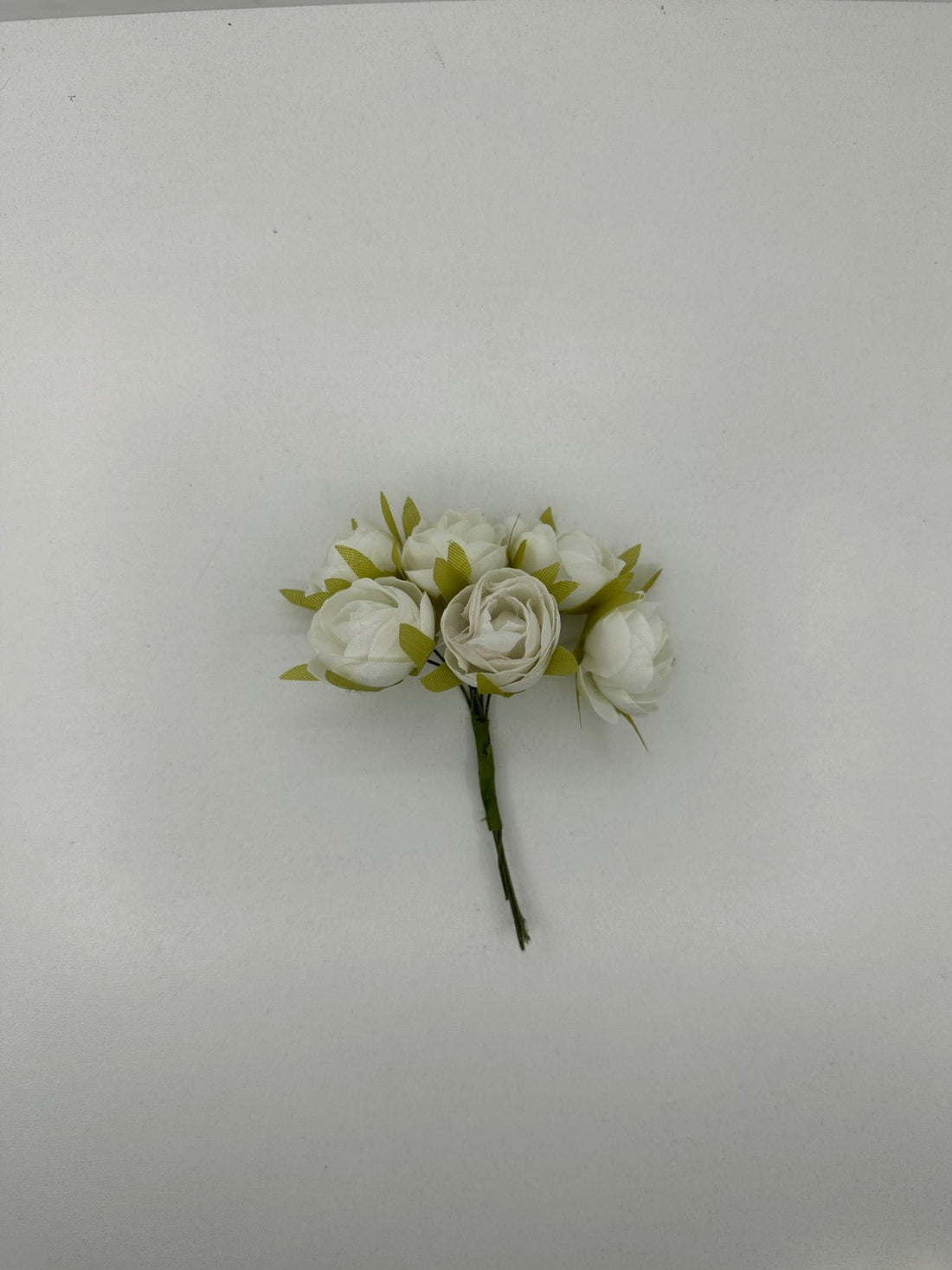 Дребни розички затворени