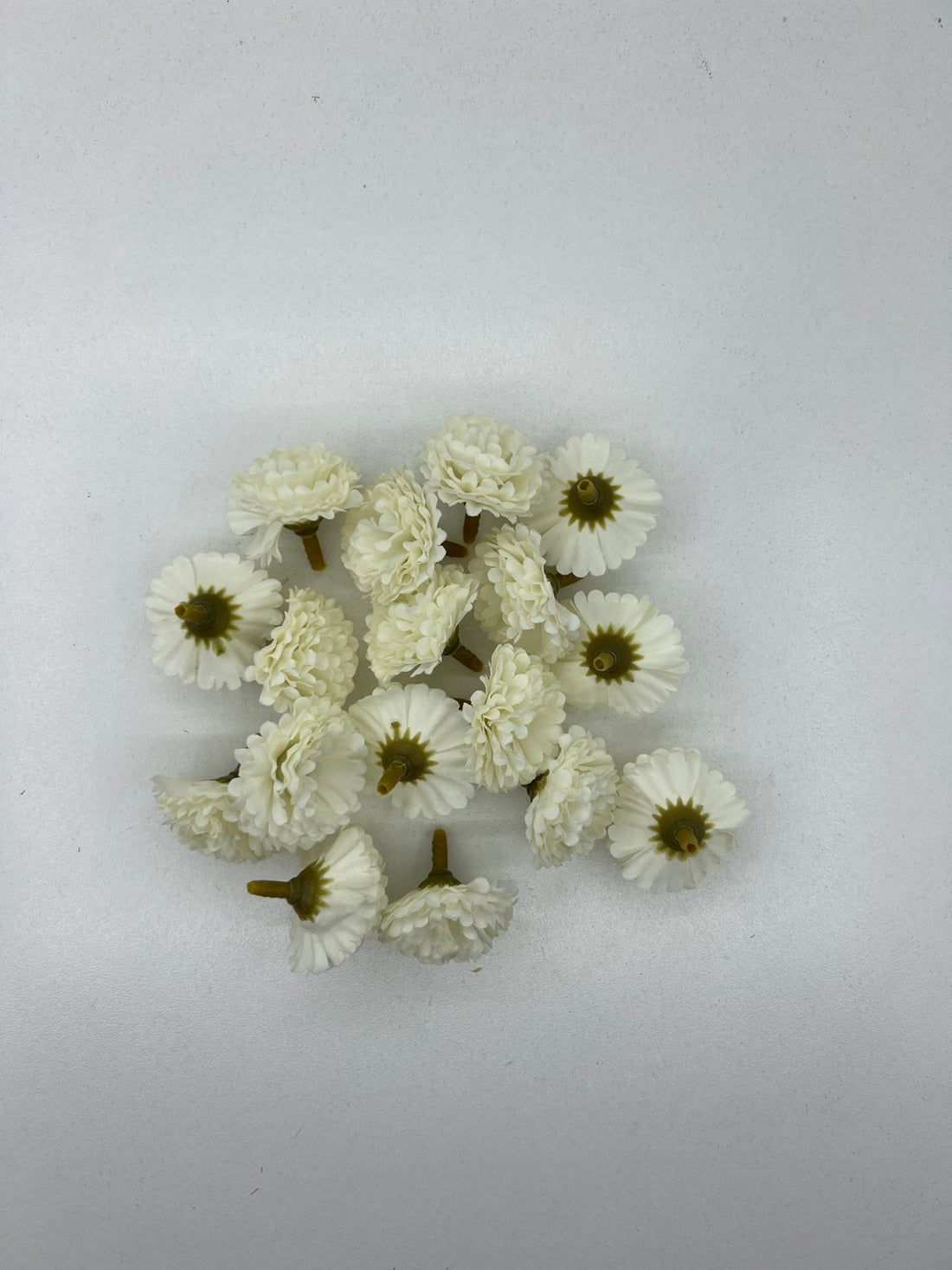 Хризантема мини глава