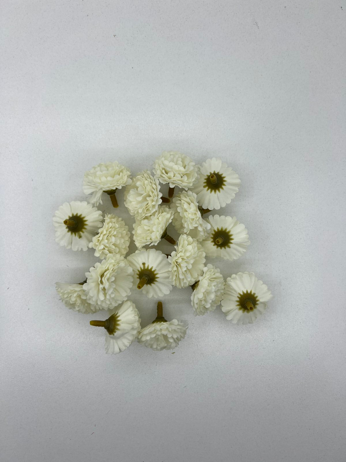 Хризантема мини глава