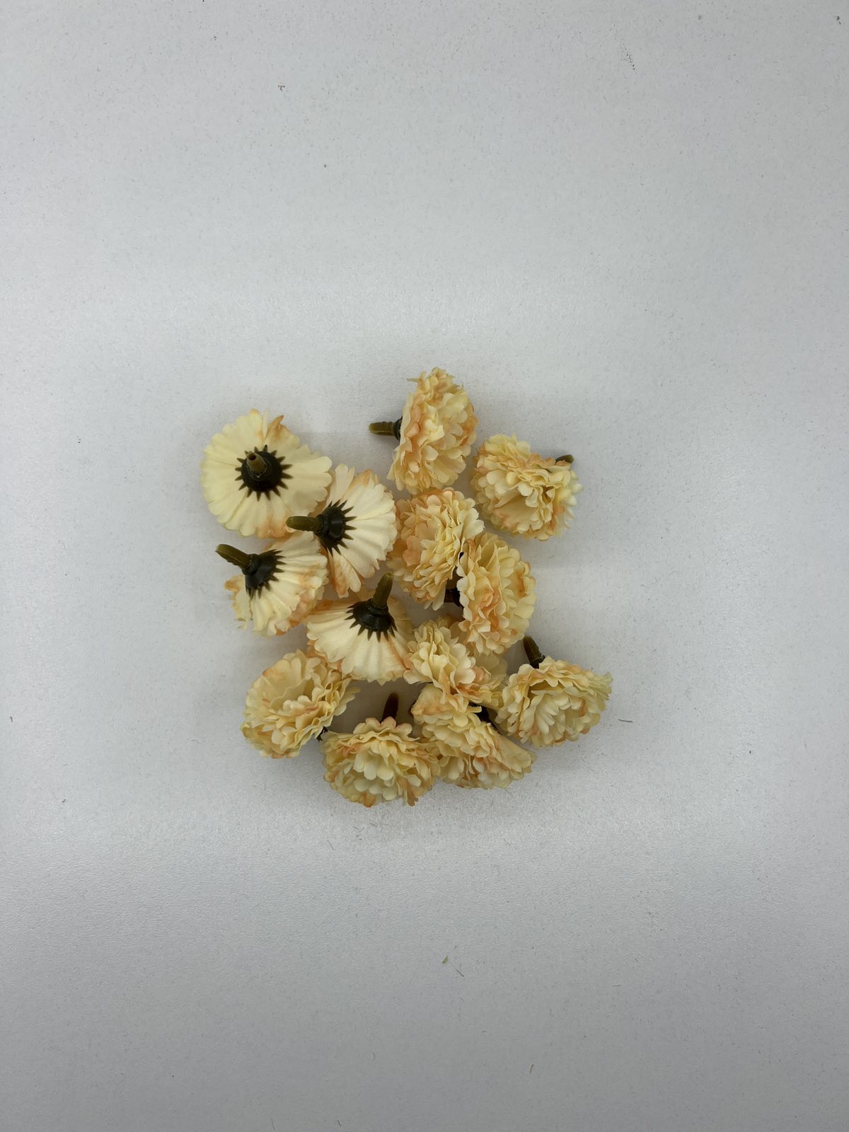 Хризантема мини глава