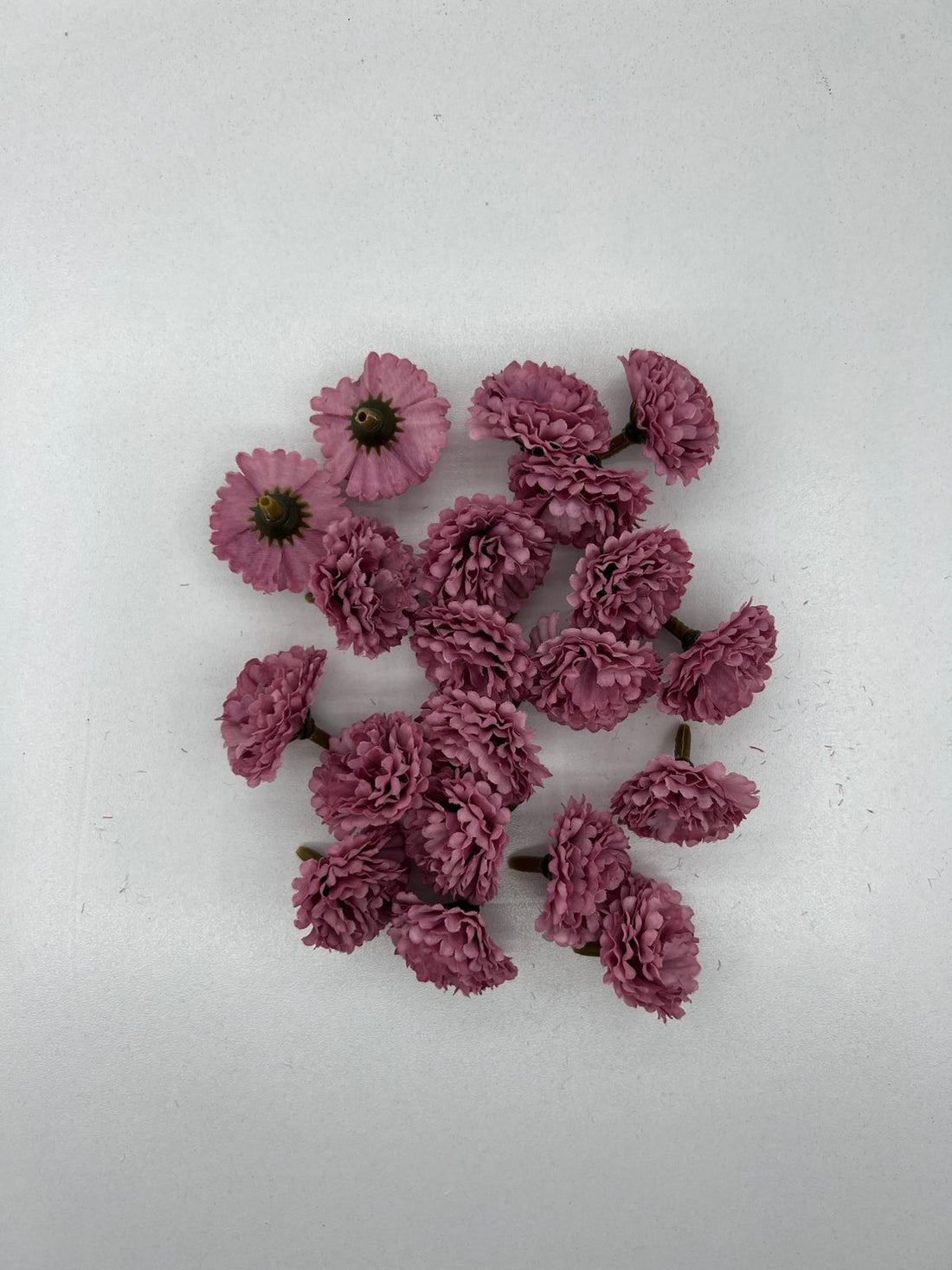 Хризантема мини глава