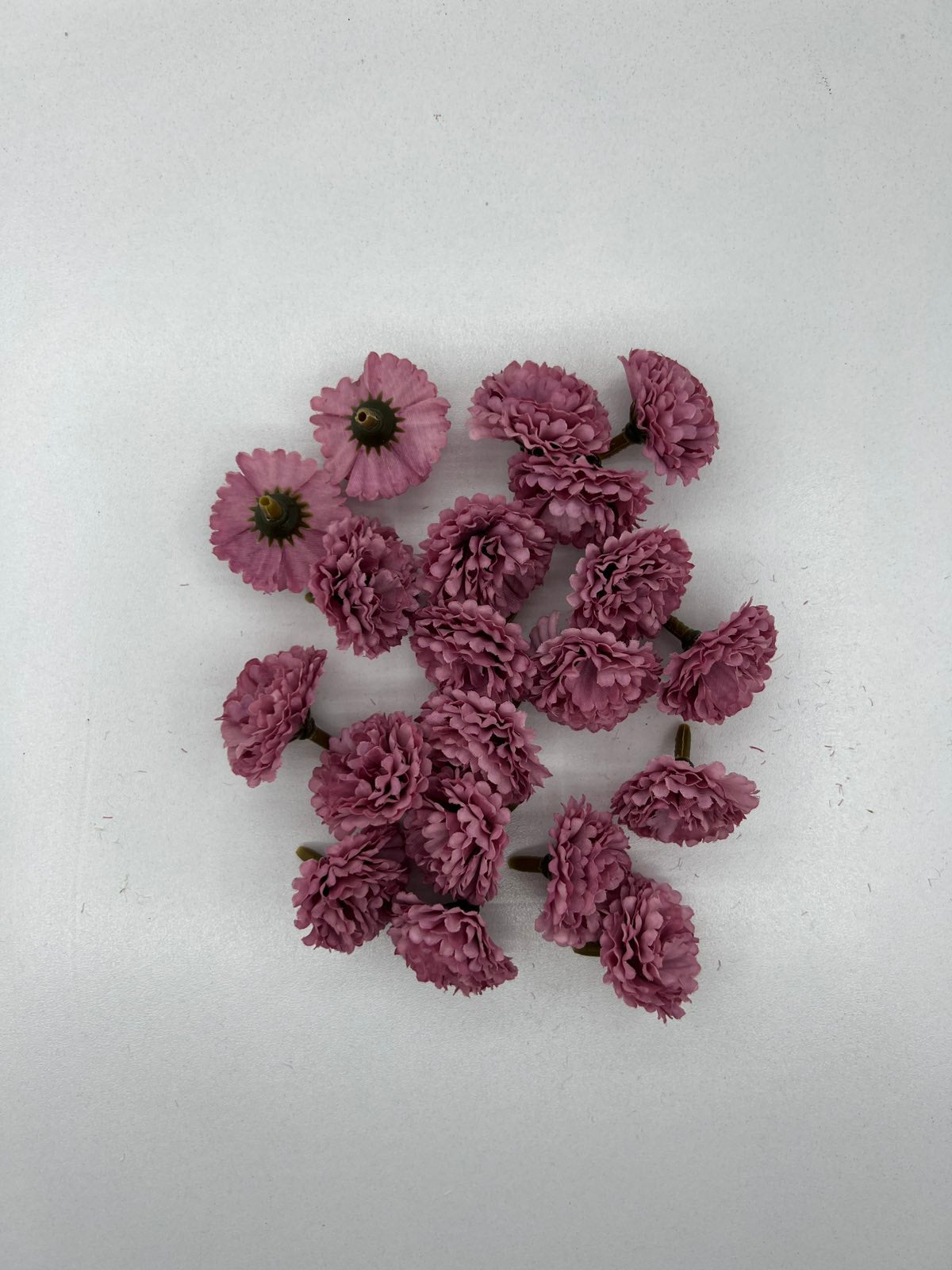 Хризантема мини глава