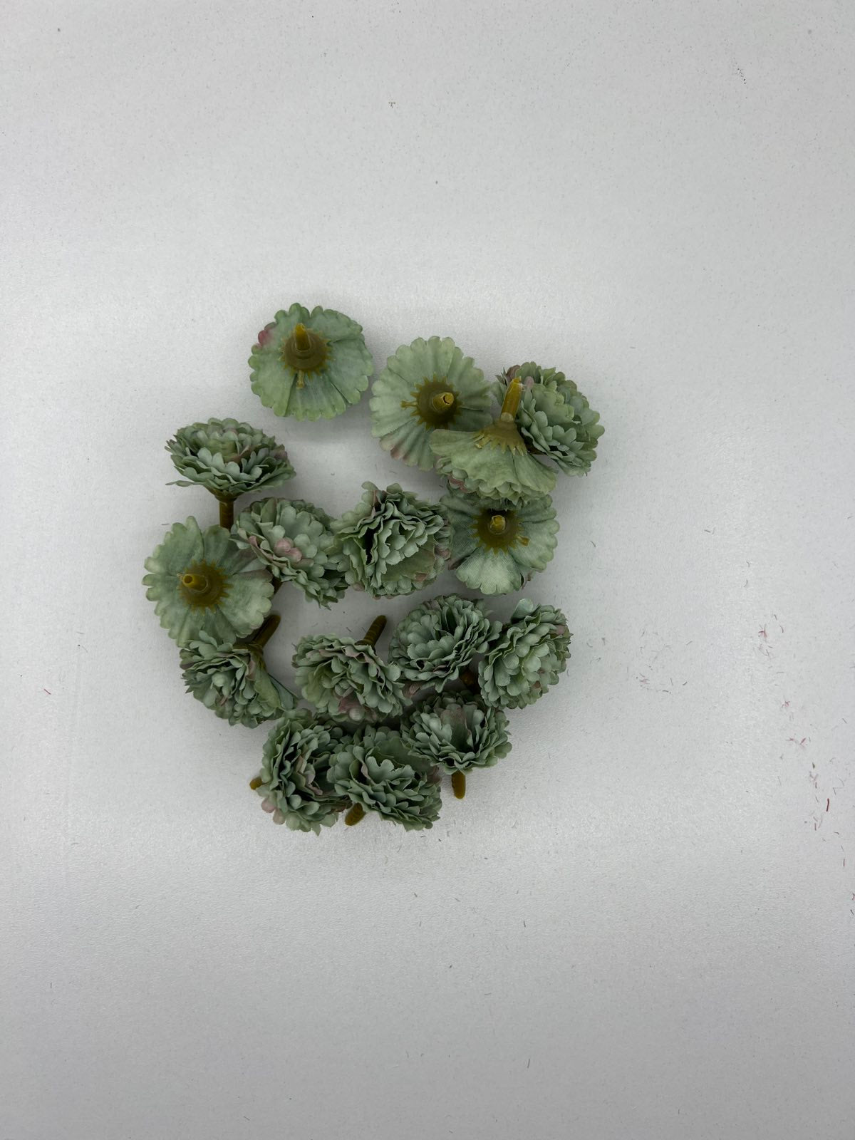 Хризантема мини глава