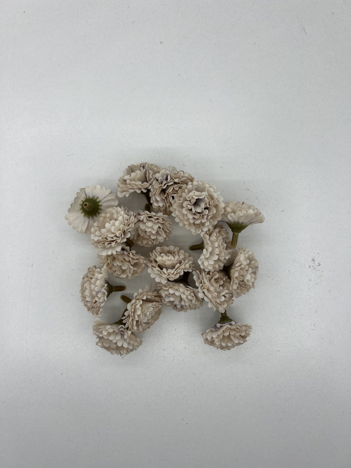 Хризантема мини глава