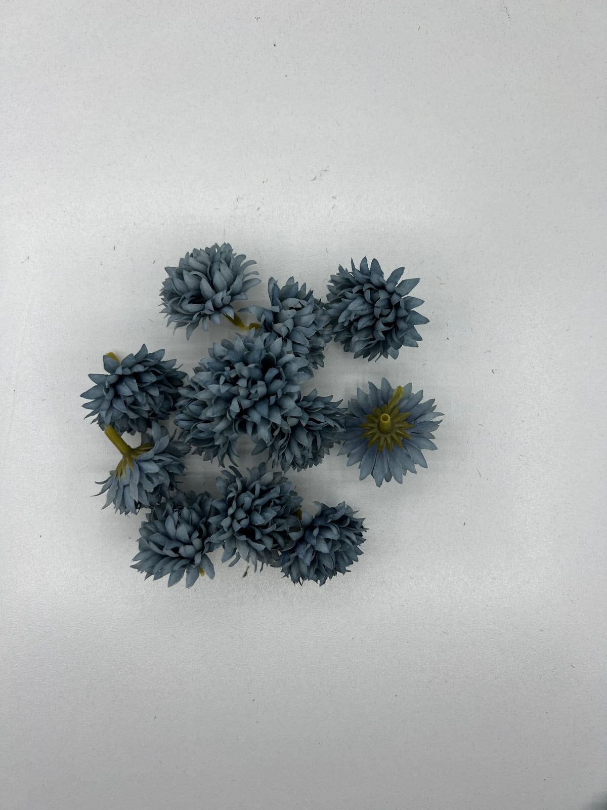 Разцъфнала хризантема главичка