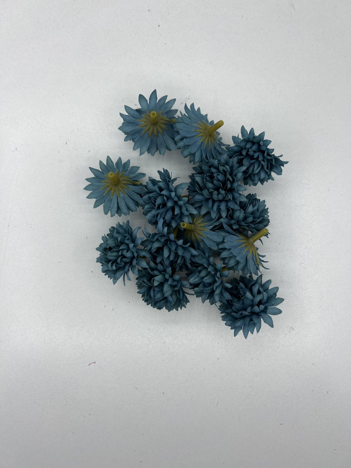 Разцъфнала хризантема главичка