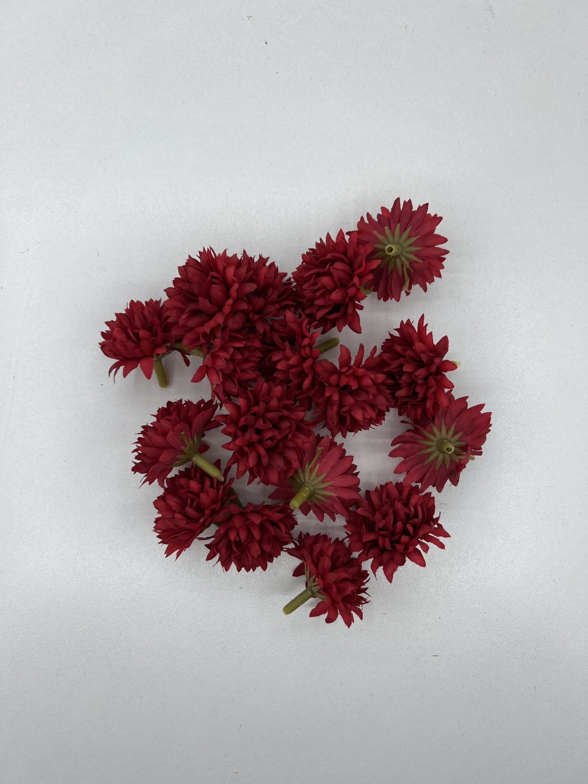 Разцъфнала хризантема главичка