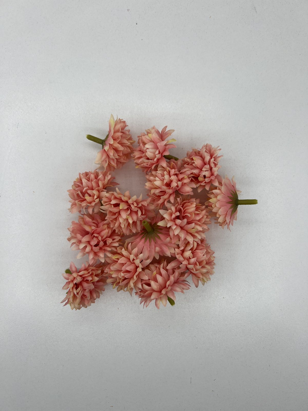 Разцъфнала хризантема главичка