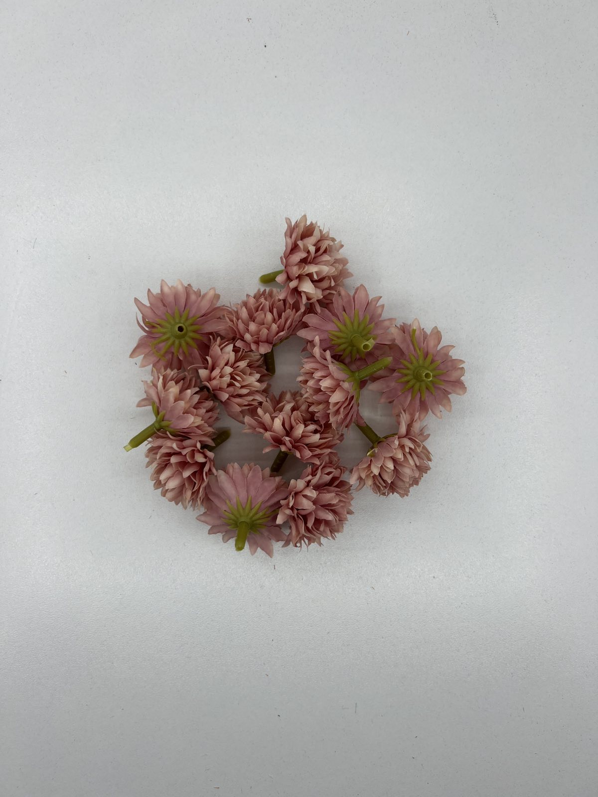 Разцъфнала хризантема главичка