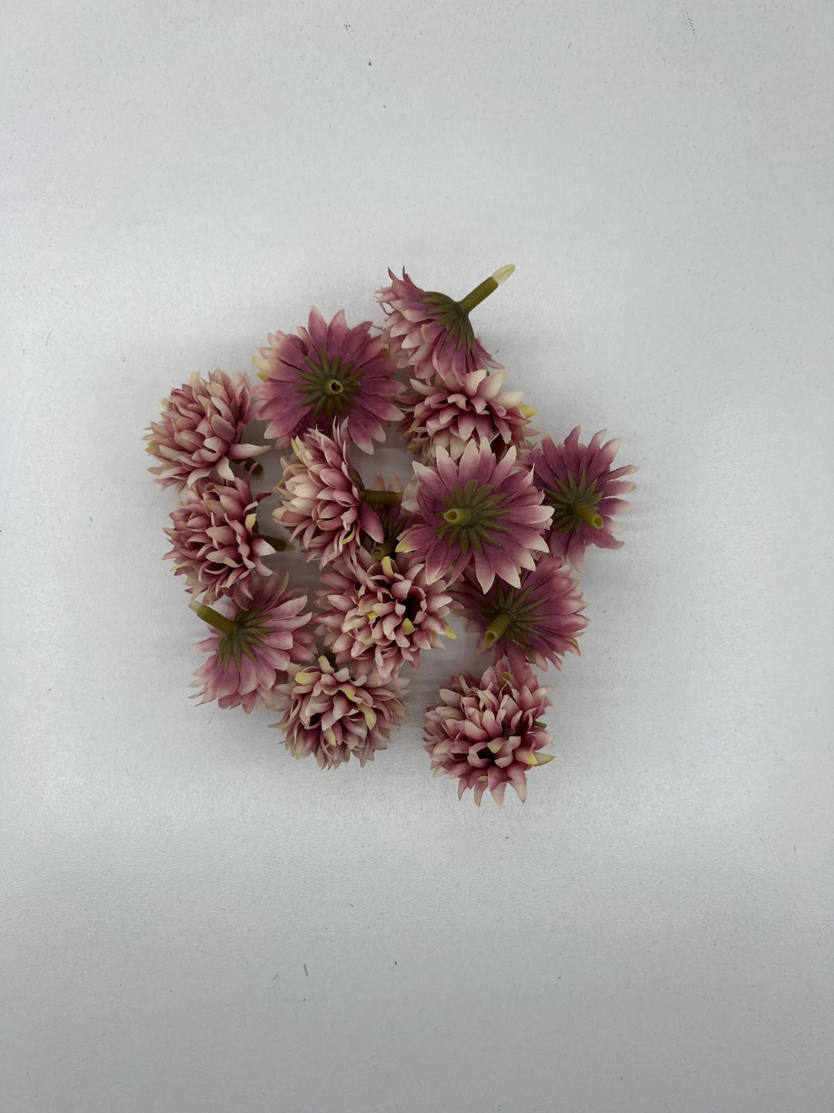 Разцъфнала хризантема главичка