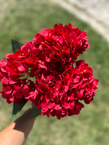 Букет ярка хортензия червена