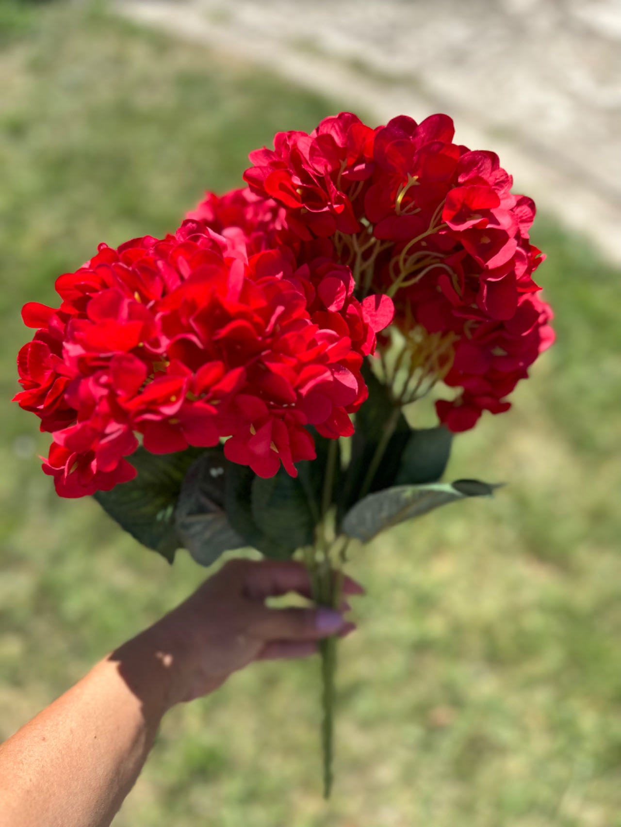 Букет ярка хортензия червена