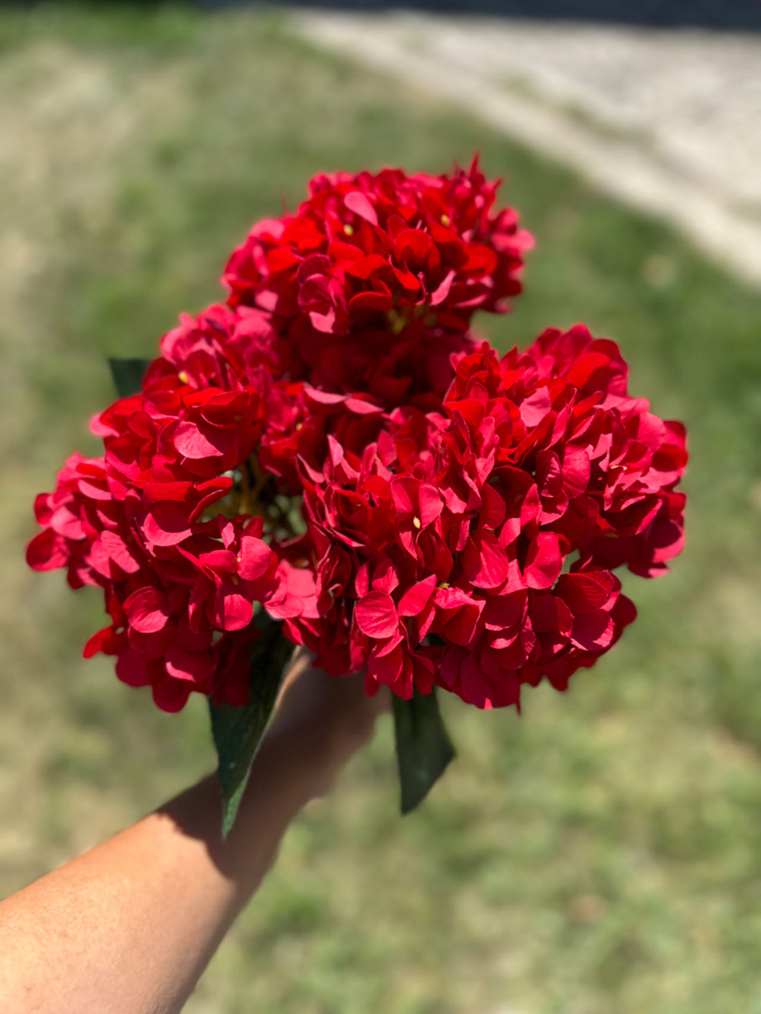 Букет ярка хортензия червена