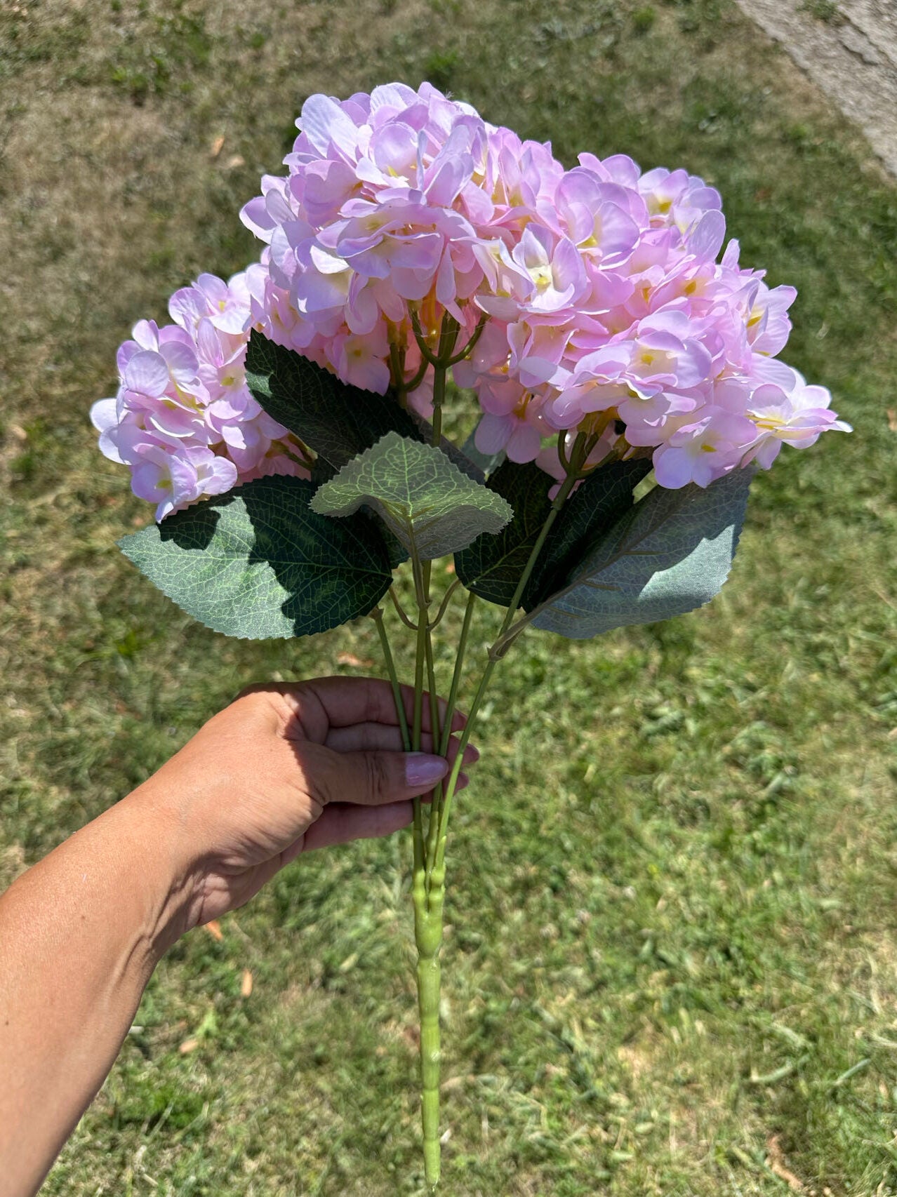 Хортензия свет.розово