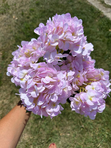 Хортензия свет.розово