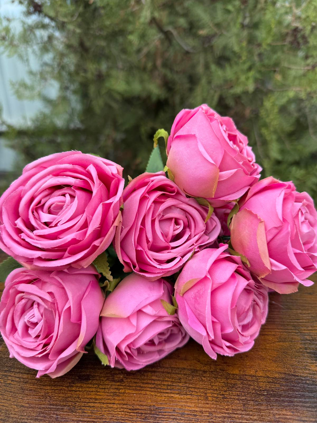 Роза 9 глави