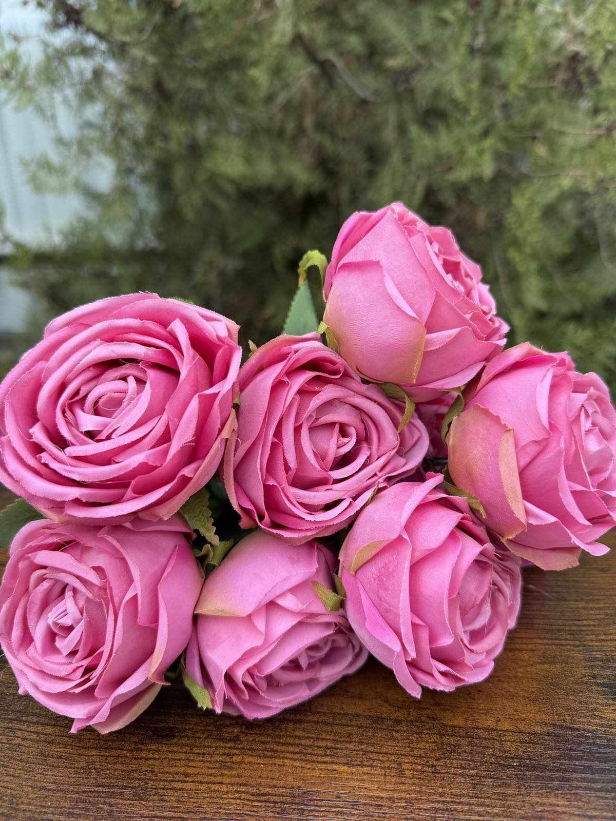 Роза 9 глави