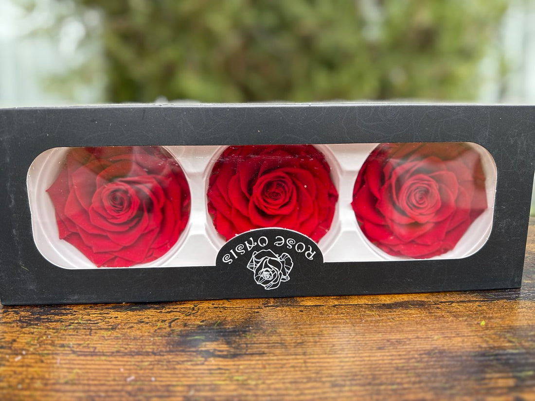 Вечни рози главички 8 см