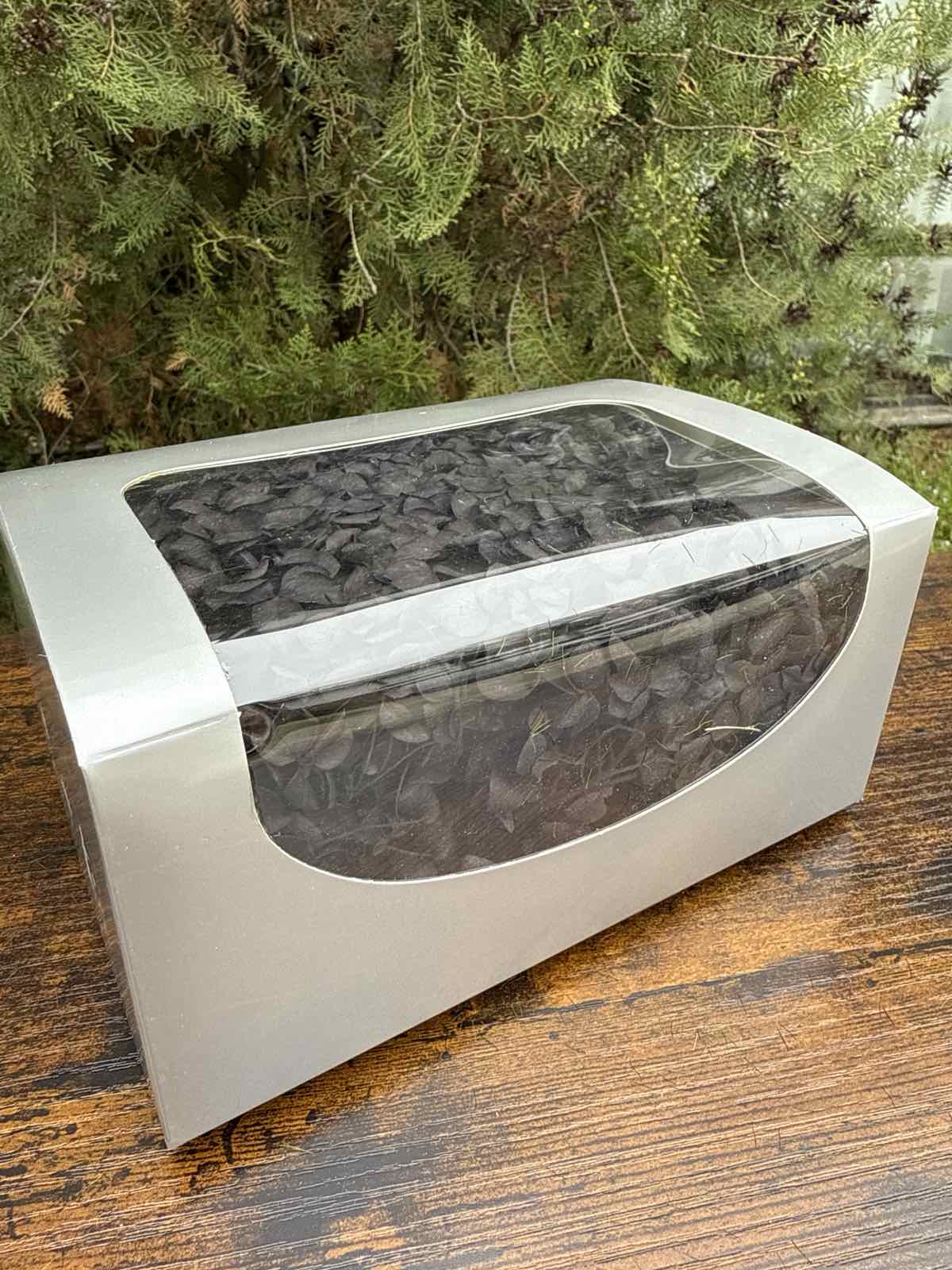 Вечна хортензия кутия