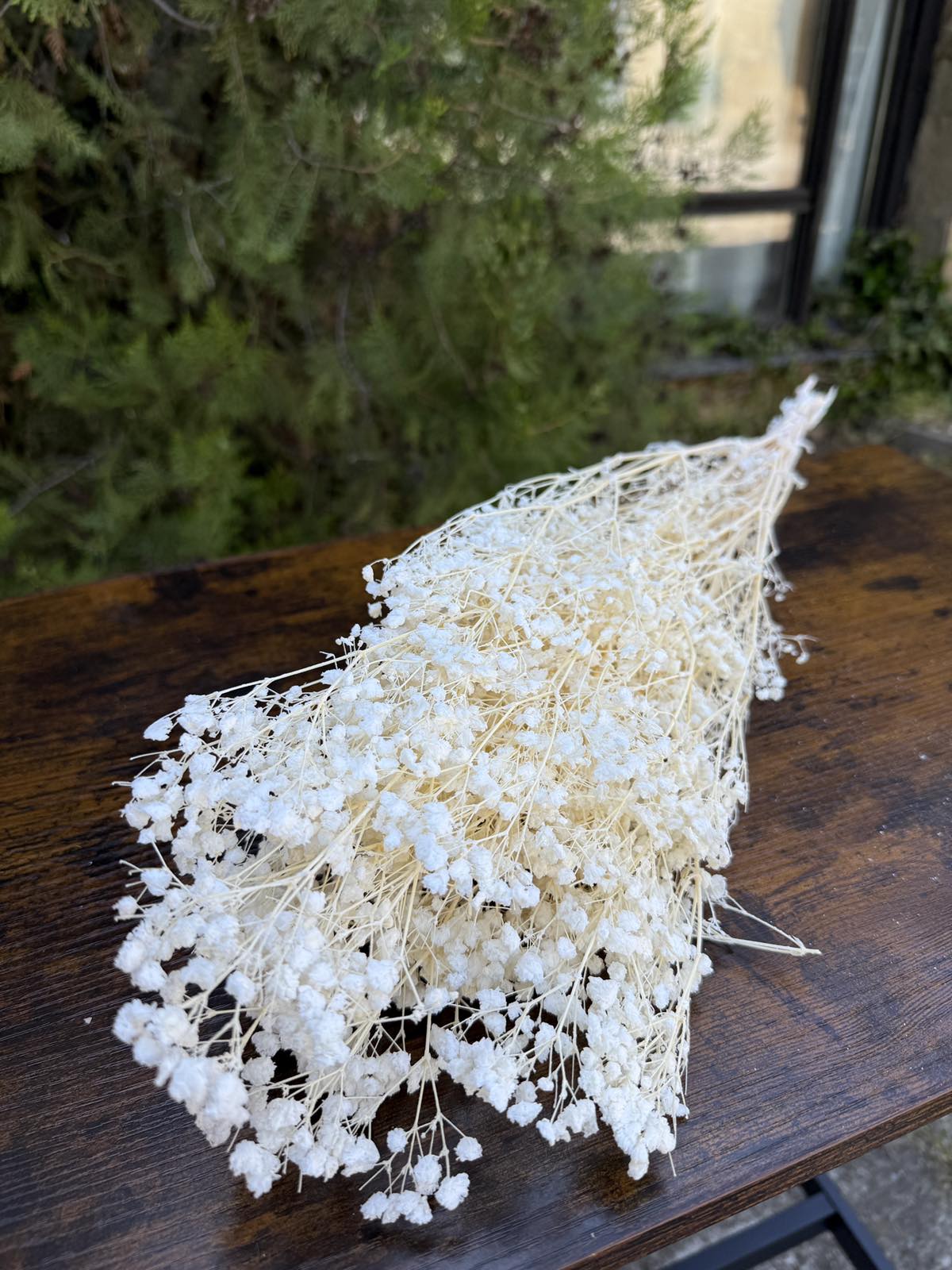 Суха трева фентъзи