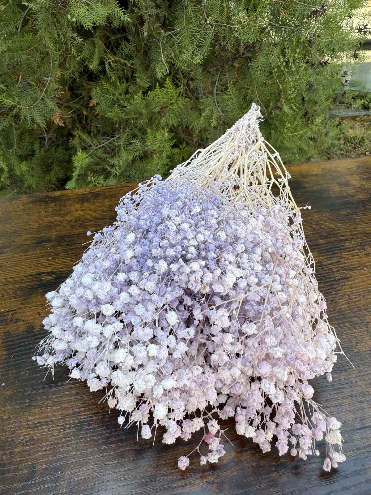 Суха трева фентъзи