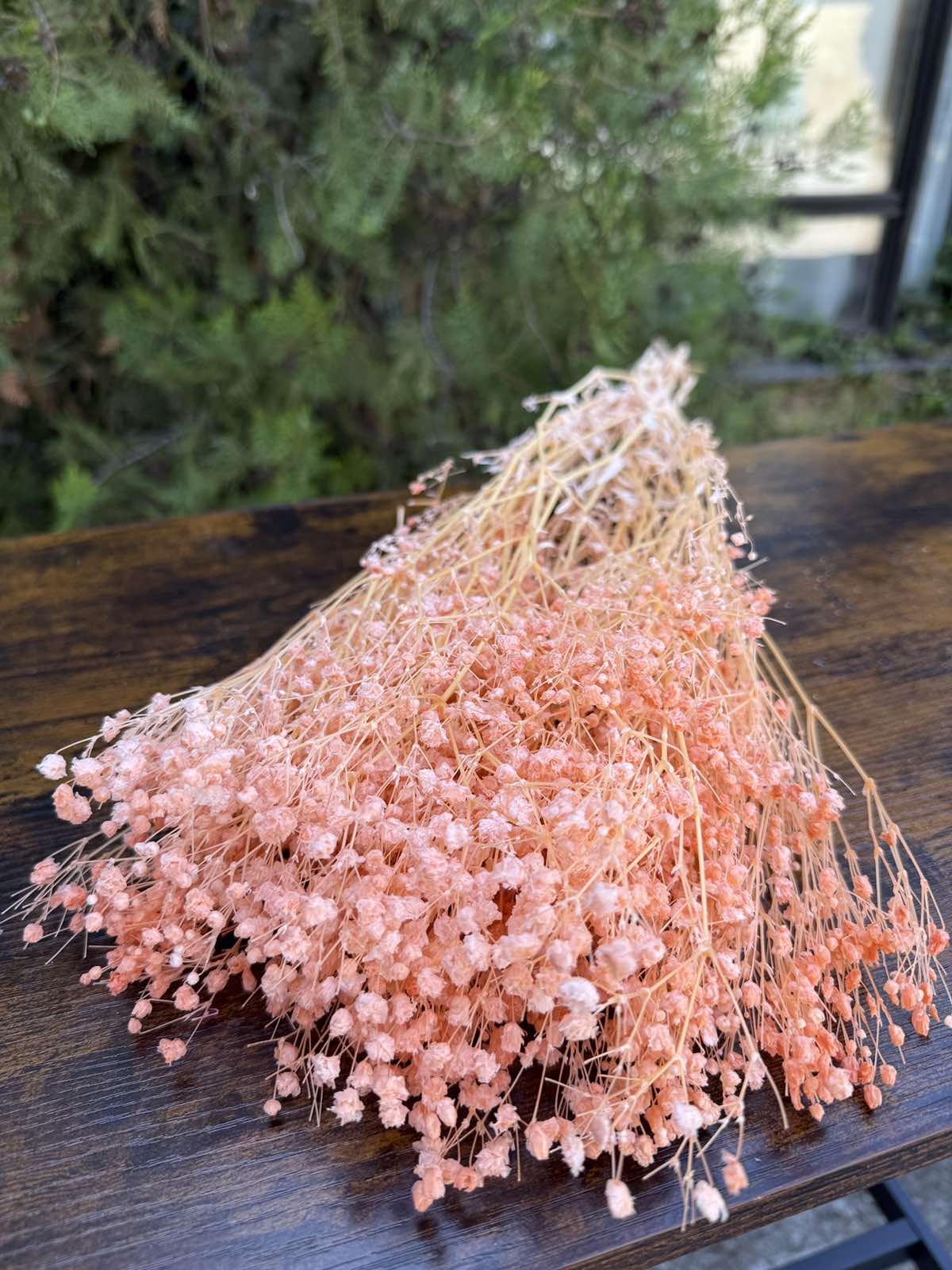 Суха трева фентъзи