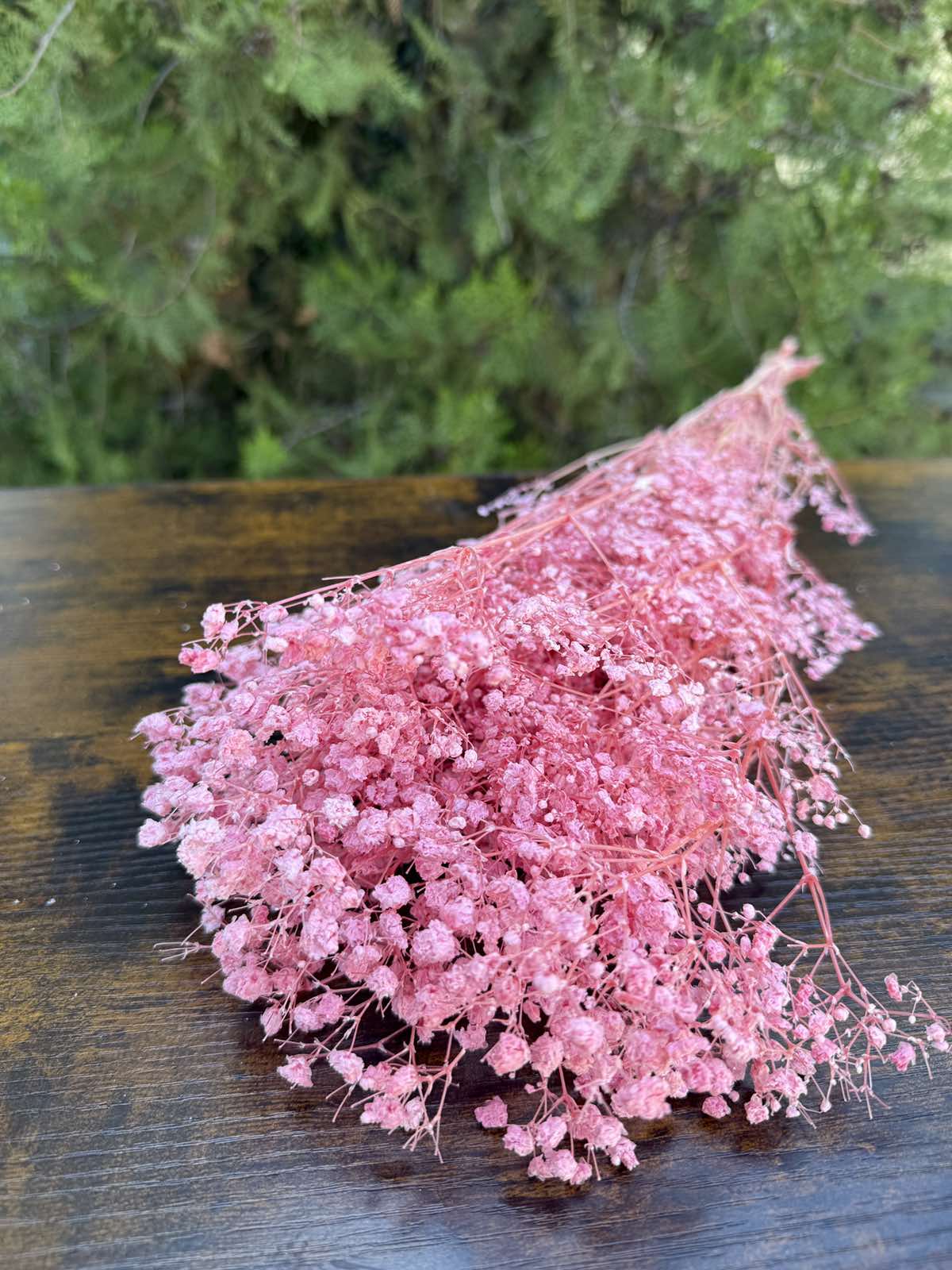 Суха трева фентъзи