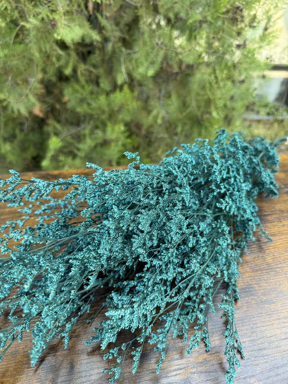 Суха трева lover’s grass