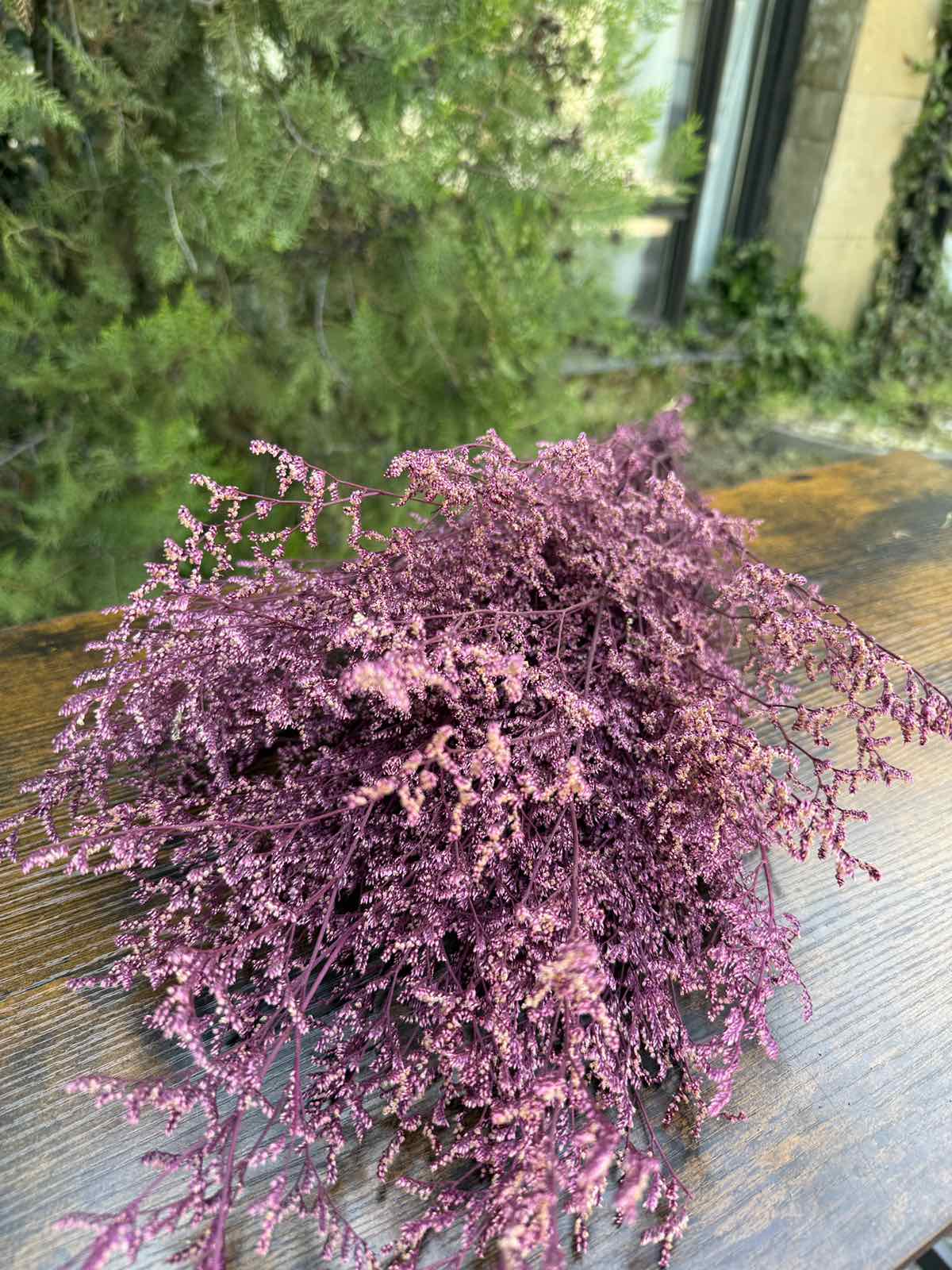 Суха трева lover’s grass