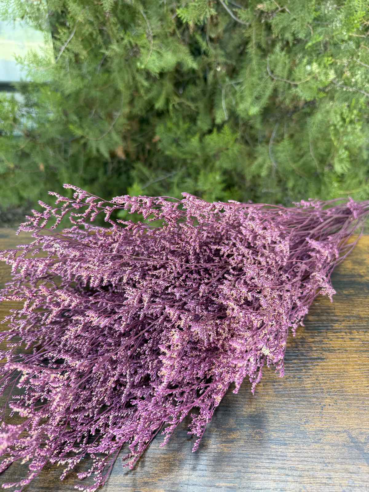 Суха трева lover’s grass