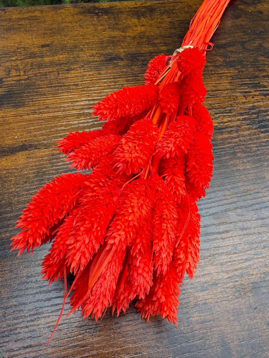 Суха трева гроздове