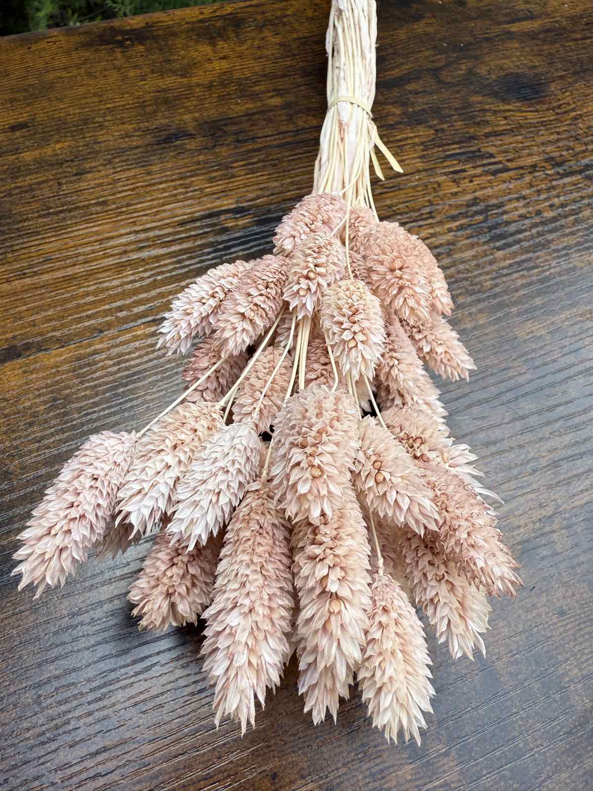 Суха трева гроздове