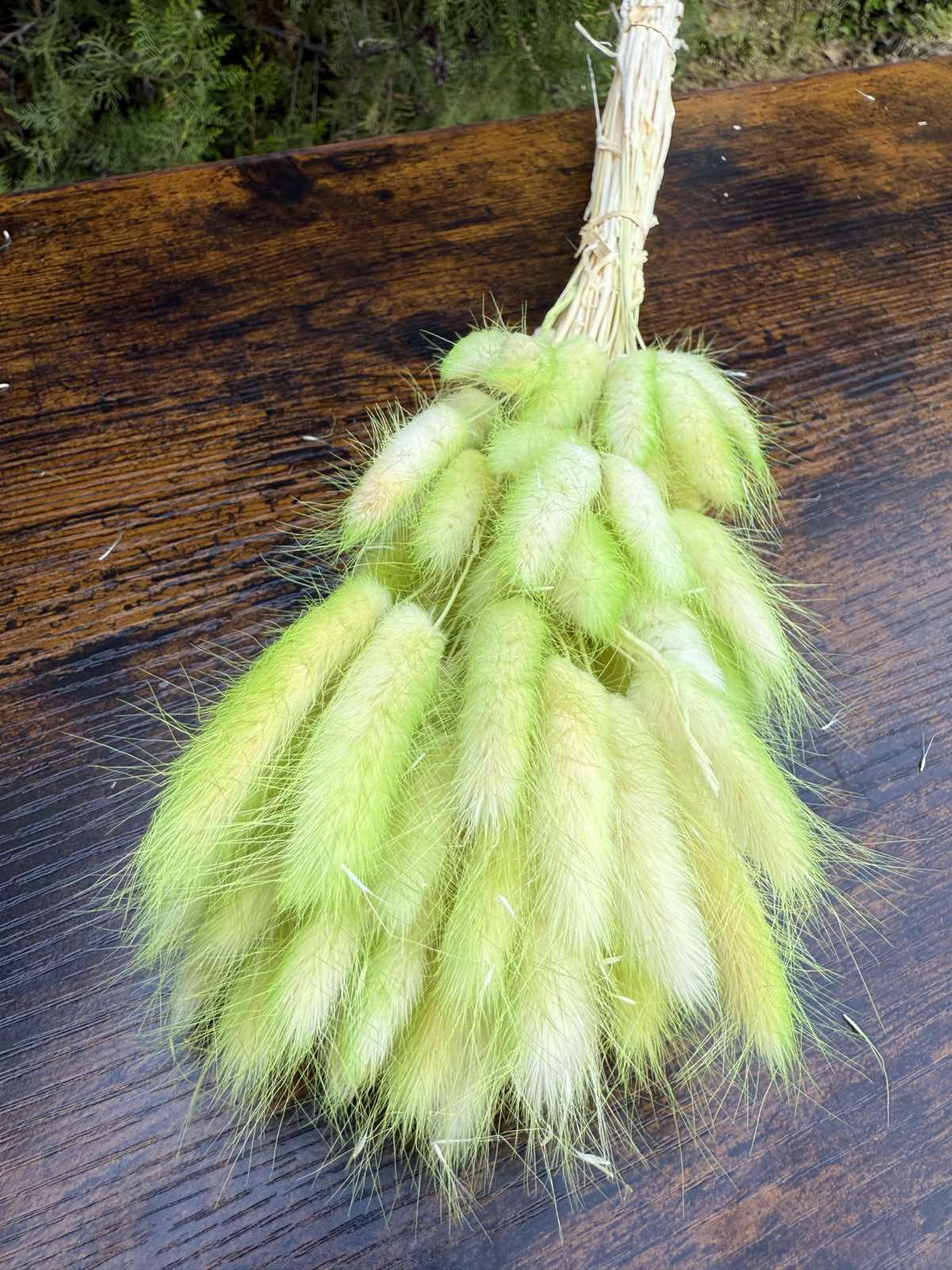 Сухи двуцветни пухчета