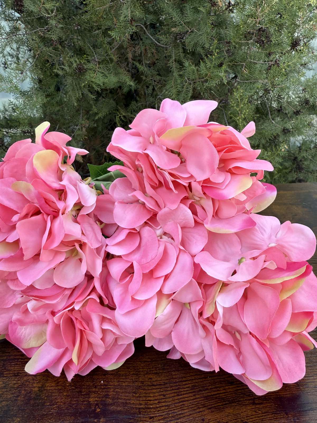 Преливаща хортензия