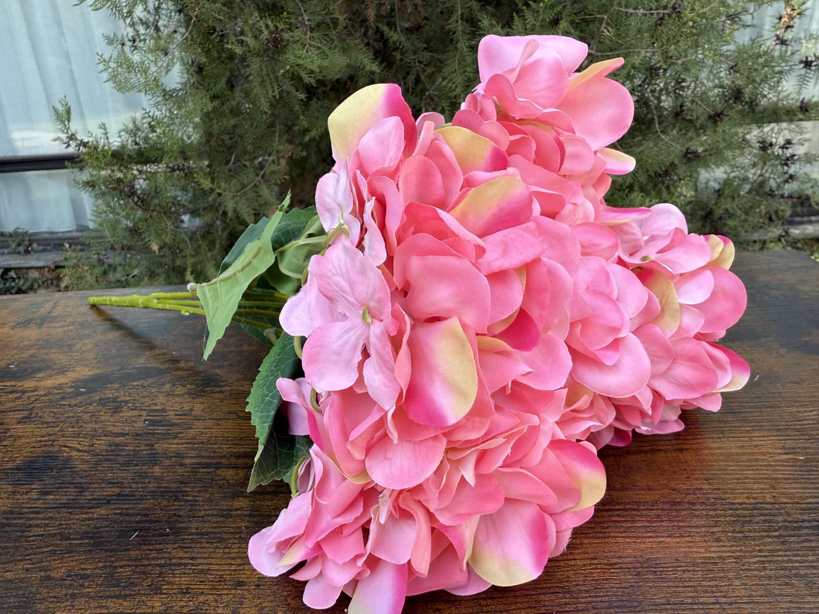 Преливаща хортензия