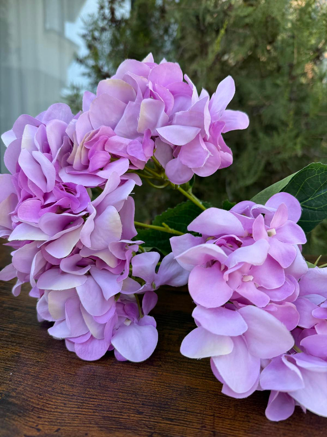 Преливаща хортензия