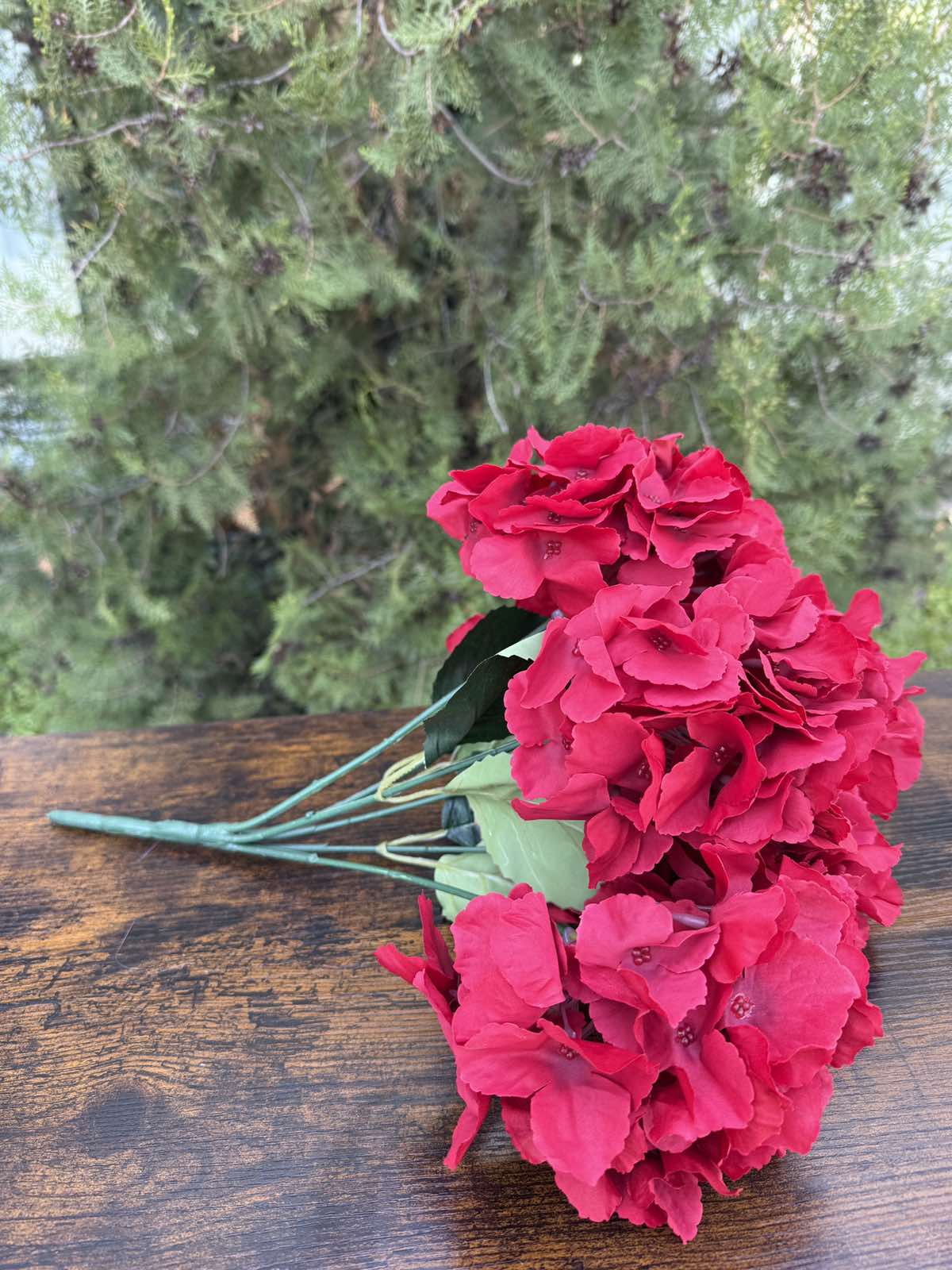 Едра хортензия червена