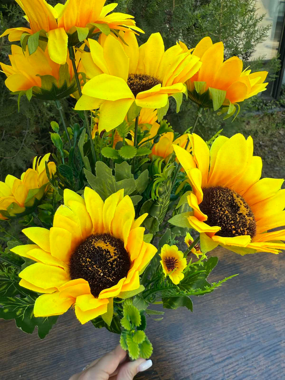 Слънчоглед 10 глави