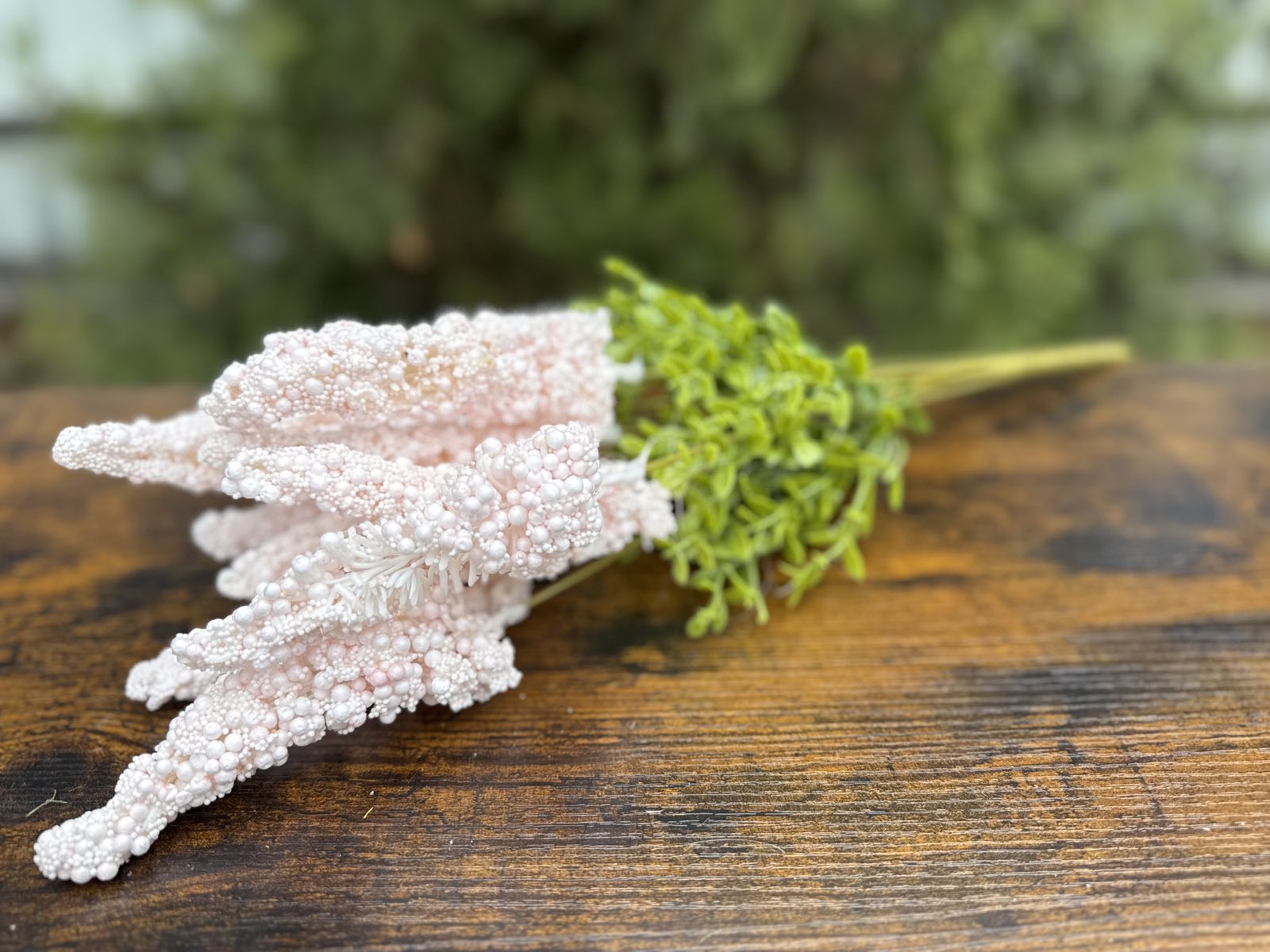 Папур с топченца