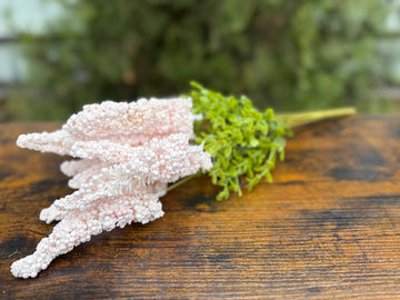 Папур с топченца