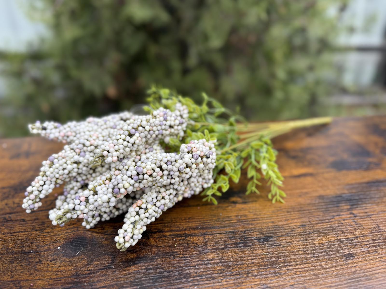 Папур с топченца