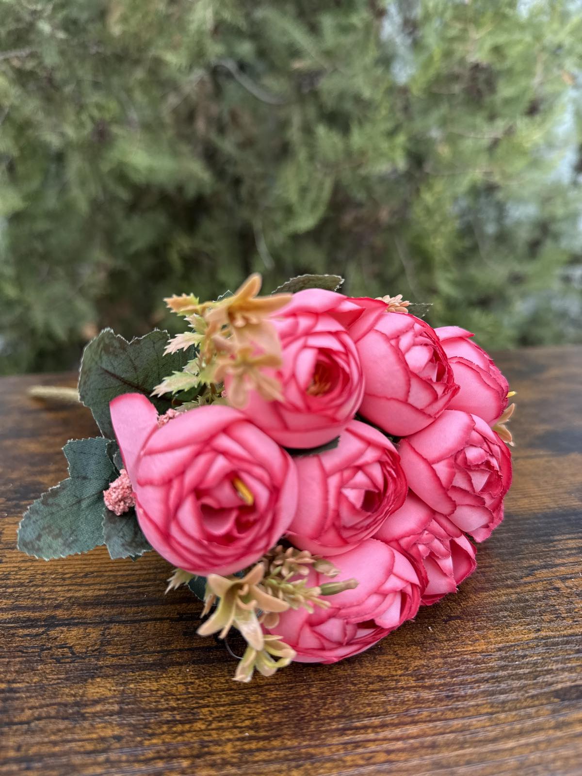 Средни божури 3 разцветки