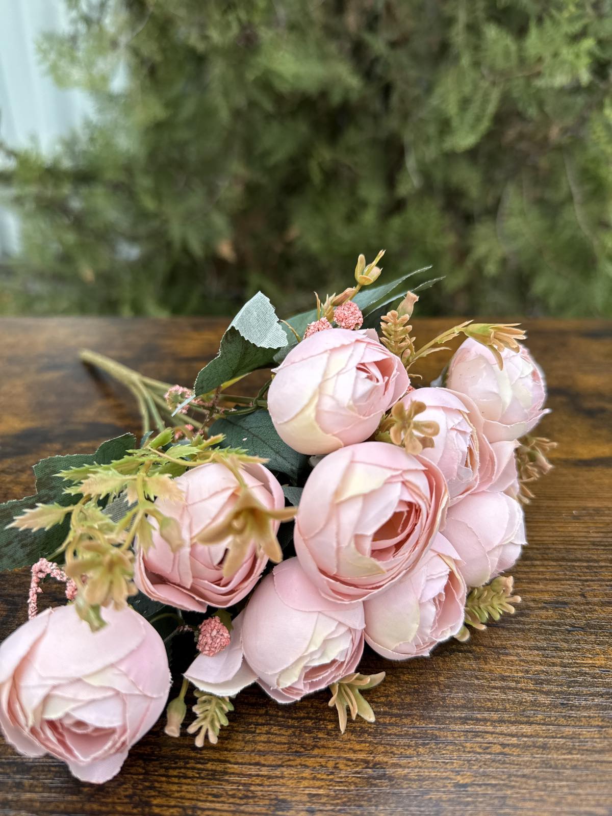 Средни божури 3 разцветки