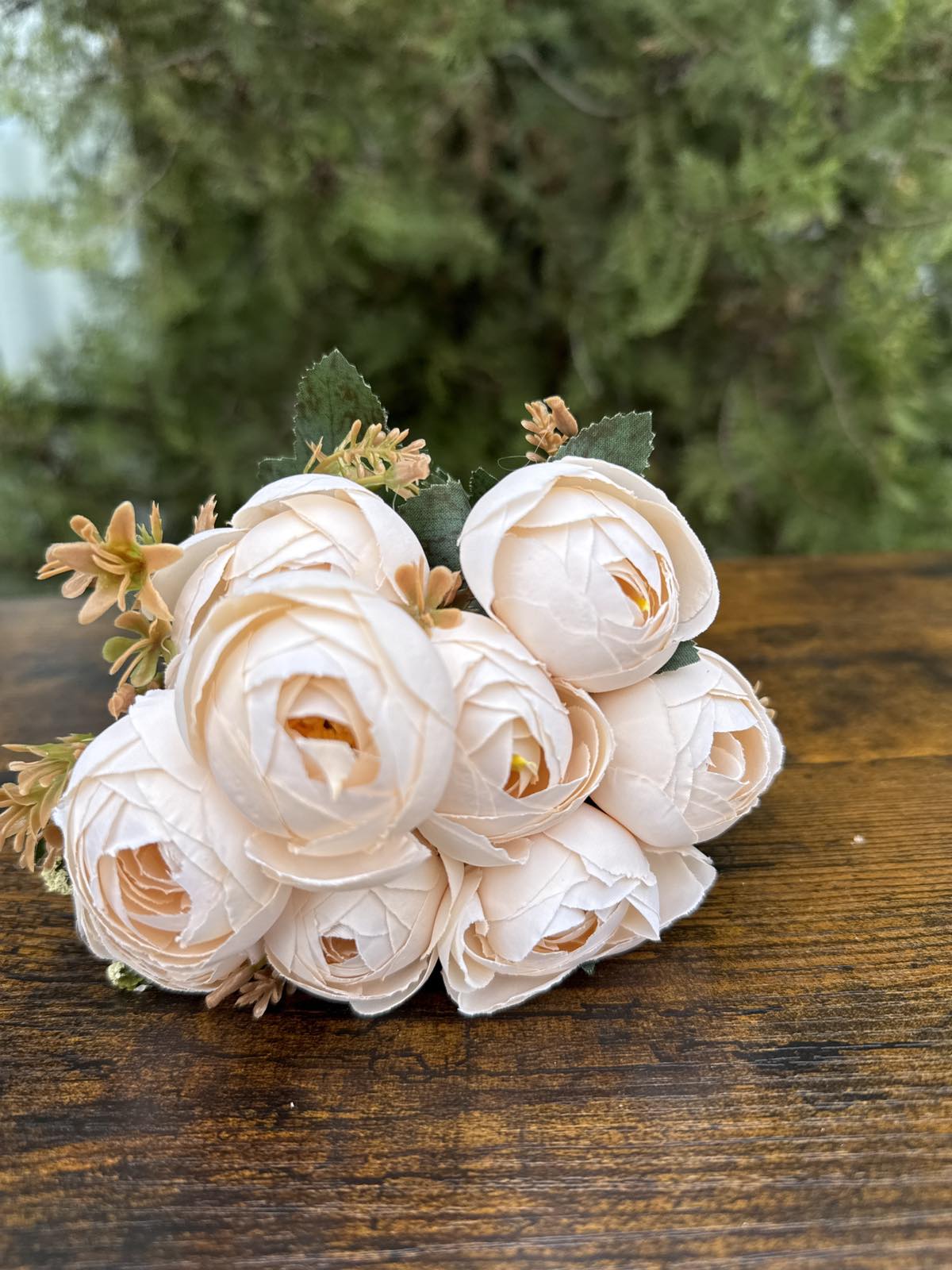 Средни божури 3 разцветки