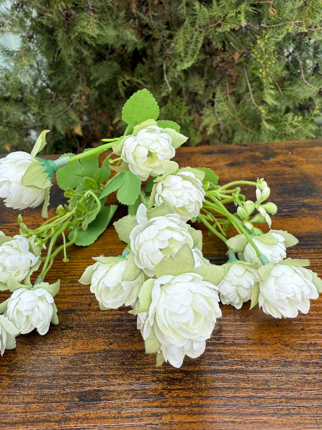 Двуцветни мини хризантемки