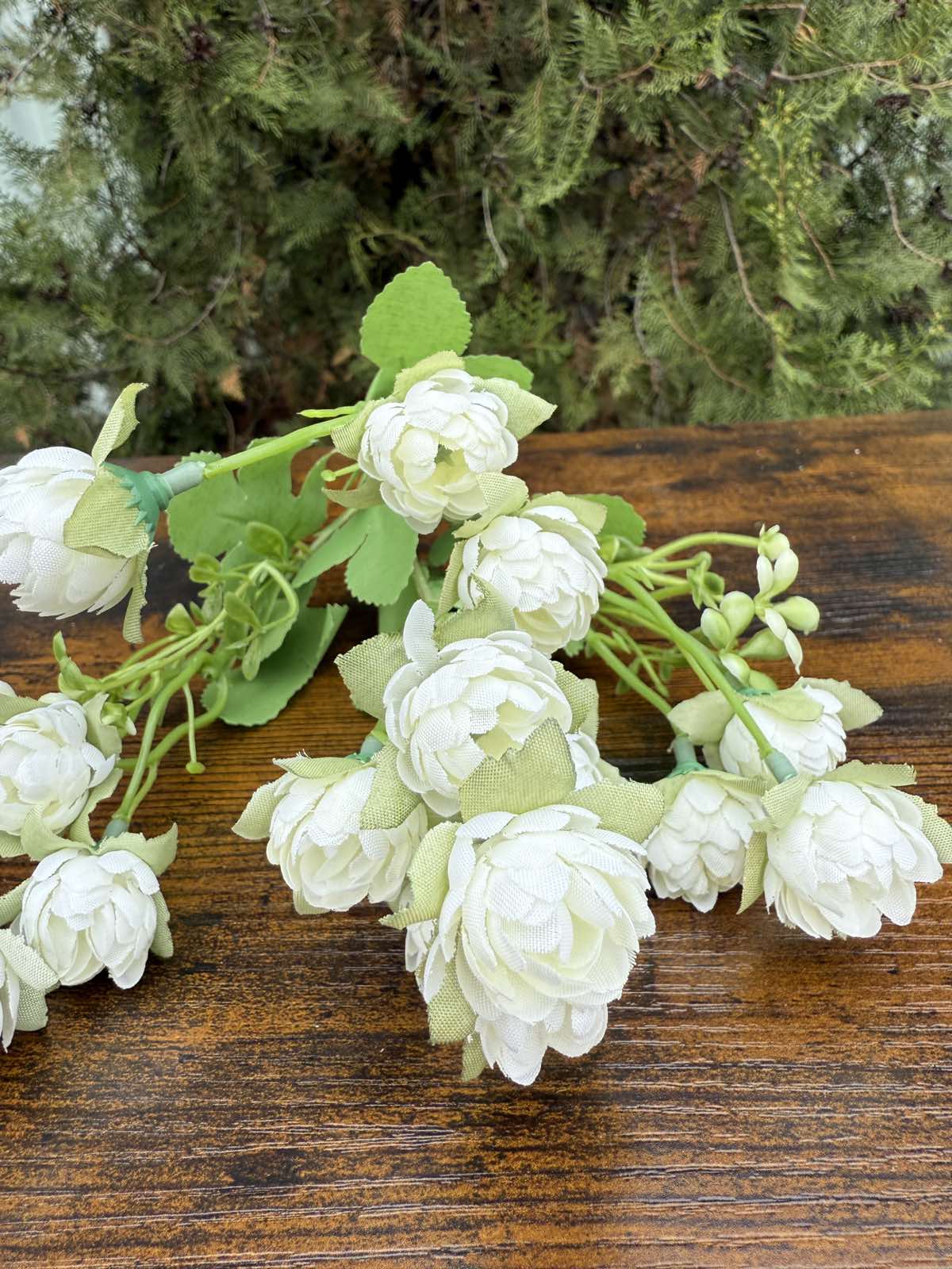 Двуцветни мини хризантемки