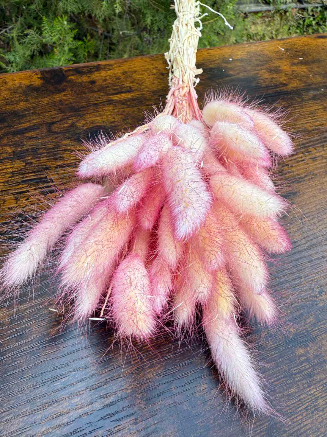 Сухи двуцветни пухчета