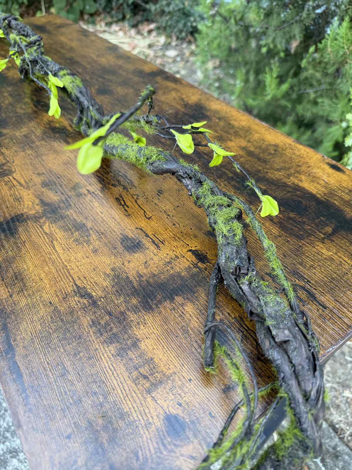 Клон с листенца