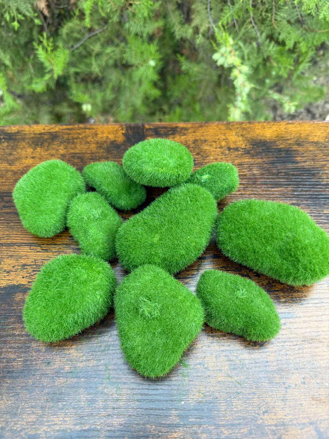 Камъни с мъх